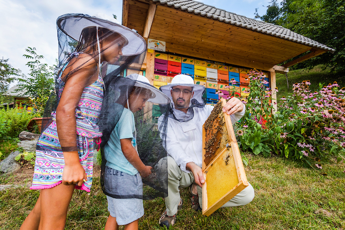 گردشگری زنبور عسل یا اپی توریسم api-tourism بعنوان زیر شاخه اکوتوریسم رویکردی جدید در صنعت گردشگری نوین محسوب می گردد