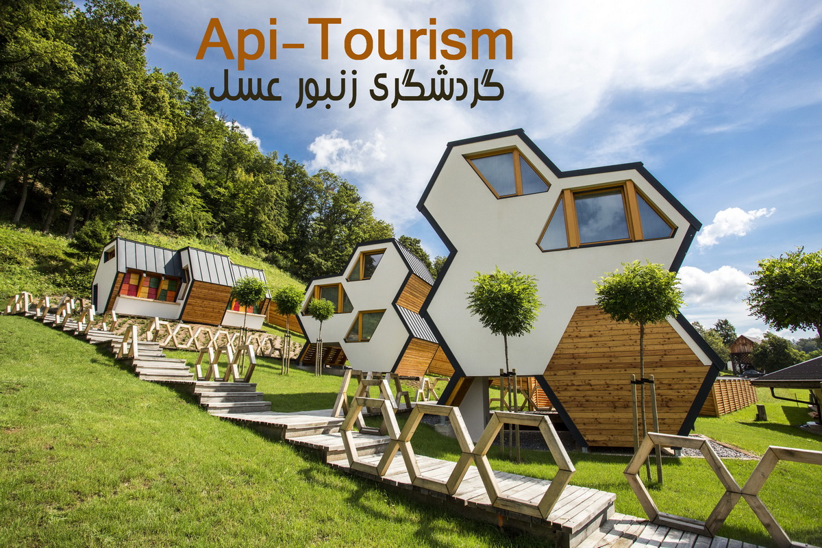 گردشگری زنبور عسل (Api Tourism): شیرینی طبیعت، فرصتی نوظهور در صنعت گردشگری